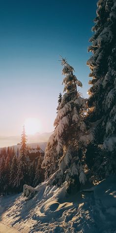 the sun shines brightly through the trees in the snow covered mountainside with pine trees on either side