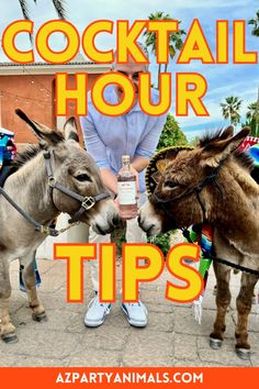 two donkeys standing next to each other with the words cocktail hour tips on them