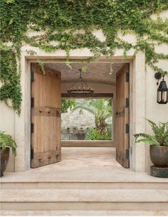 an open door with vines growing over it