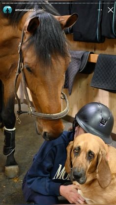 a person sitting down with a dog and horse