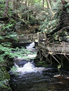 a wooden bridge over a small stream in the woods with water running down it's sides