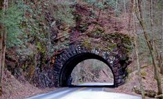 a tunnel in the middle of a road surrounded by trees