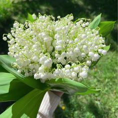 a bouquet of white flowers sitting on top of a lush green field