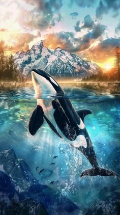 an orca jumping out of the water in front of some mountains and trees at sunset