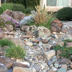 rocks and plants in front of a house