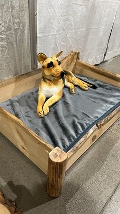 a dog laying on top of a bed made out of wooden planks and fabric