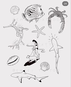 an image of sea animals in black and white