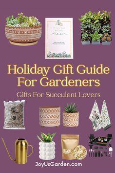 holiday gift guide for gardeners gifts for succulent lovers