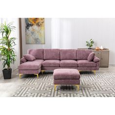 a living room with a large purple couch and potted plants on the floor in front of it