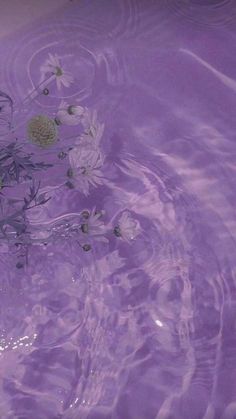 flowers are floating in the purple water