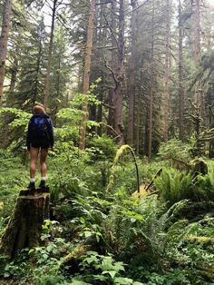 a person standing on a log in the middle of a forest with lots of trees