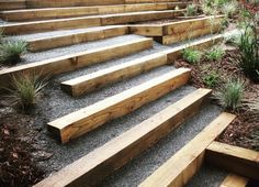 wooden steps leading up to the top of some plants and shrubs in a garden area