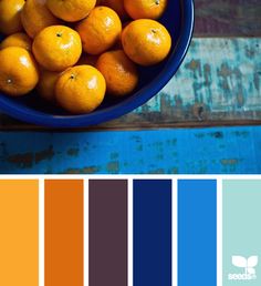 a blue bowl filled with oranges sitting on top of a wooden table next to a color swatch