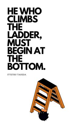 a black cat sitting on top of a wooden ladder next to a white poster with the words he who climbs the ladder must begin at the bottom