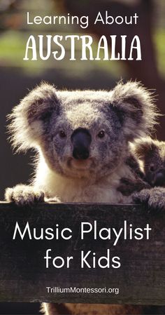 a koala bear with the title learning about australia music playlist for kids by trillium montessori