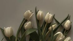 white tulips are arranged in a vase against a gray wall