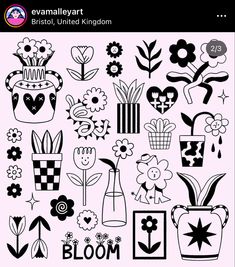 an image of flowers and vases in black and white on a light pink background