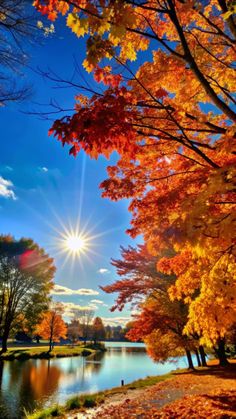 the sun shines brightly over a lake surrounded by autumn trees and leaves on the ground