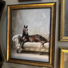 a horse laying on top of a couch next to two framed pictures hanging on the wall