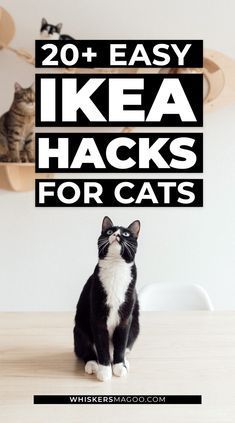 a black and white cat sitting on top of a table with the words 20 easy ikea hacks for cats