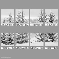 a series of photographs showing different types of trees in the snow with numbers on them