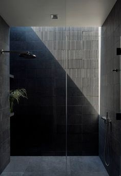 a black tiled bathroom with a walk in shower next to a potted plant on the floor