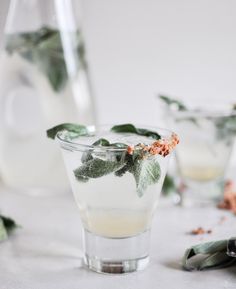 two glasses filled with water and leaves on top of a table next to other glassware