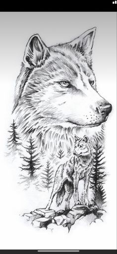 a drawing of a wolf and its cub