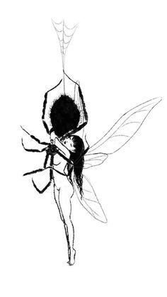 a drawing of a black and white insect with long legs, on a white background