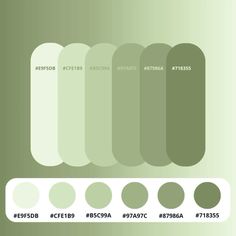 an image of a green background with different color options for the colors in each section