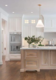 a large kitchen with white cabinets and wood flooring, an island in the middle has a potted plant on it