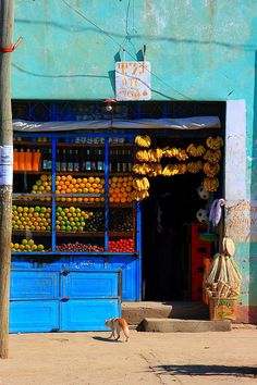 a dog is standing in front of a fruit stand