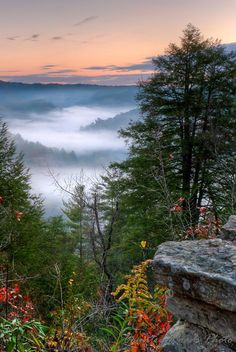 the sun is setting over some trees and fog in the valley, with mountains in the distance