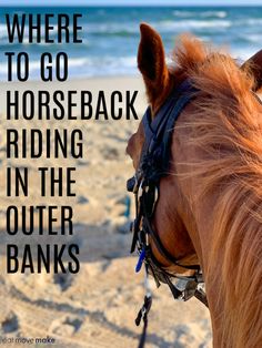 a brown horse standing on top of a sandy beach next to the ocean with text that reads, where to go horseback riding in the outer banks