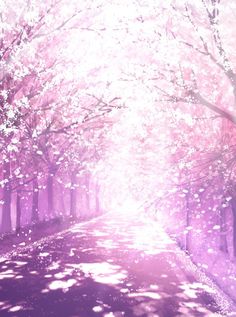 the sun shines brightly through the trees in this pink forest filled with blossoming trees