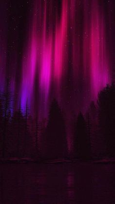 an aurora bore is seen in the night sky over trees and water with purple lights