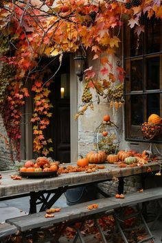 a table with pumpkins and gourds on it in front of a building