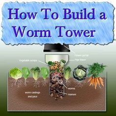 an image of how to build a worm tower with vegetables and other things in it