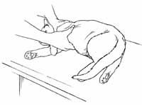 a black and white drawing of a person laying on a desk with their feet up