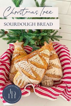 christmas tree sourdough bread in a red and white striped basket