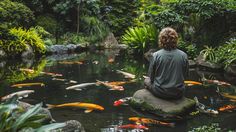 a man sitting on top of a rock in front of a pond filled with fish