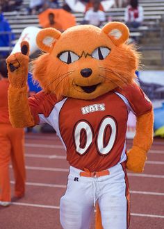 an orange cat mascot standing on top of a football field with his hands in the air