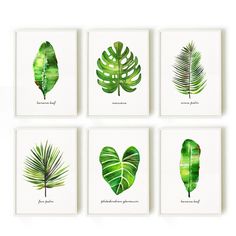 four green leaf prints on white paper, each with different types of leaves in them