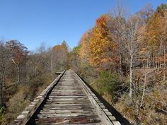 an old train track in the middle of some trees with fall foliage around it and blue sky above