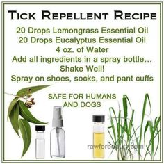 Tick Repellent Essential Oils, Natural Tick Repellent, Handy Gadgets, Tick Repellent, Oil Remedies, Lemongrass Essential Oil, Young Living Oils, Doterra Oils, Eucalyptus Essential Oil