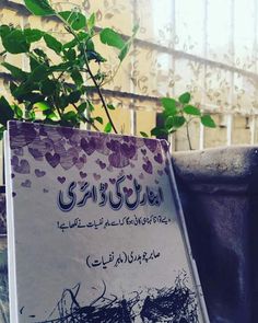 a book sitting on top of a table next to a potted plant