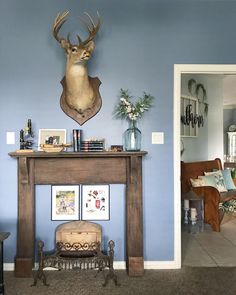 a living room with blue walls and a deer head mounted on the wall above it