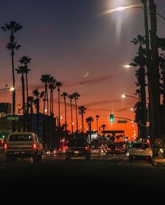 the sun is setting over palm trees and street lights in this cityscape photo