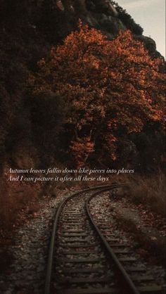 a train track in the middle of a forest with an inspirational quote on it that reads, autumn leaves fall from trees into places and i can't give all those days