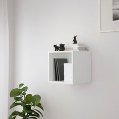 a blue shelf with some books on top of it next to a potted plant